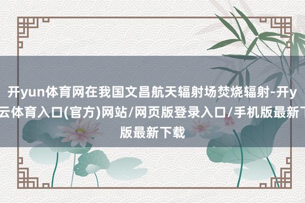 开yun体育网在我国文昌航天辐射场焚烧辐射-开yun云体育入口(官方)网站/网页版登录入口/手机版最新下载