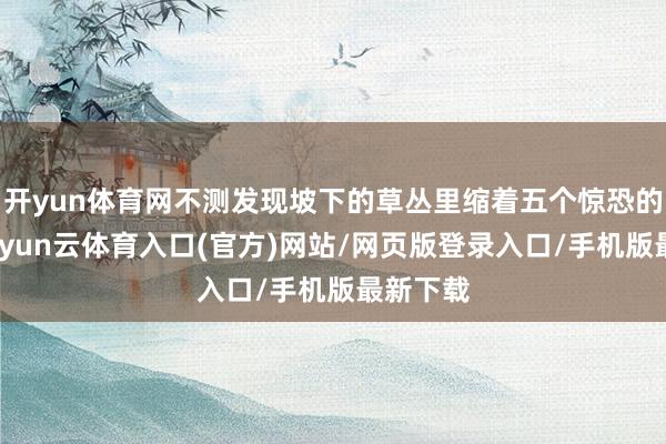 开yun体育网不测发现坡下的草丛里缩着五个惊恐的敌兵-开yun云体育入口(官方)网站/网页版登录入口/手机版最新下载