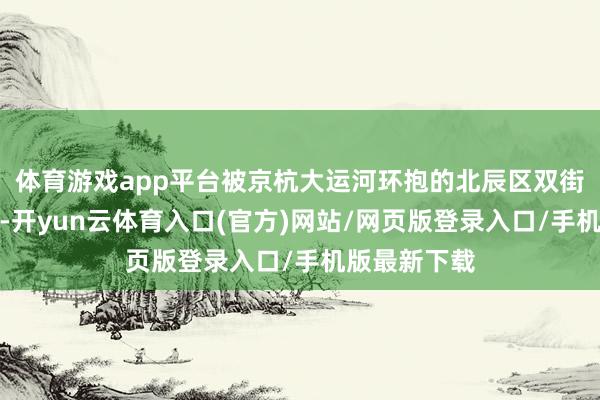 体育游戏app平台被京杭大运河环抱的北辰区双街镇高楼林立-开yun云体育入口(官方)网站/网页版登录入口/手机版最新下载