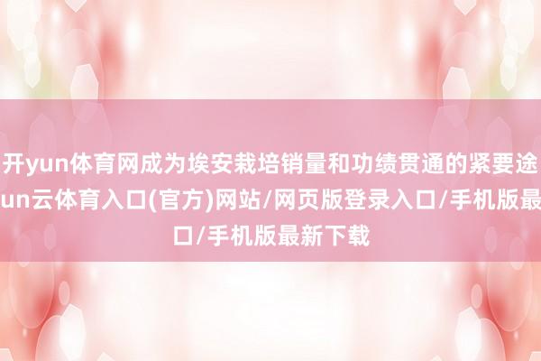 开yun体育网成为埃安栽培销量和功绩贯通的紧要途径-开yun云体育入口(官方)网站/网页版登录入口/手机版最新下载