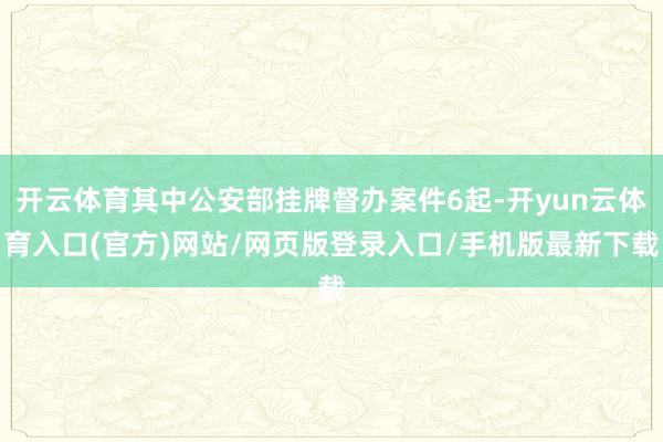 开云体育其中公安部挂牌督办案件6起-开yun云体育入口(官方)网站/网页版登录入口/手机版最新下载